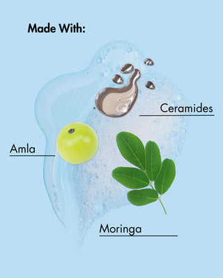 Diagram showing ingredients used in a skincare product with Amla, Moringa, and Ceramides labeled.