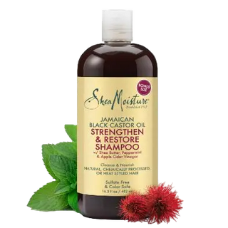 SheaMoisture Jamaican Black Castor Oil Shampoo bottle with natural elements on a white background